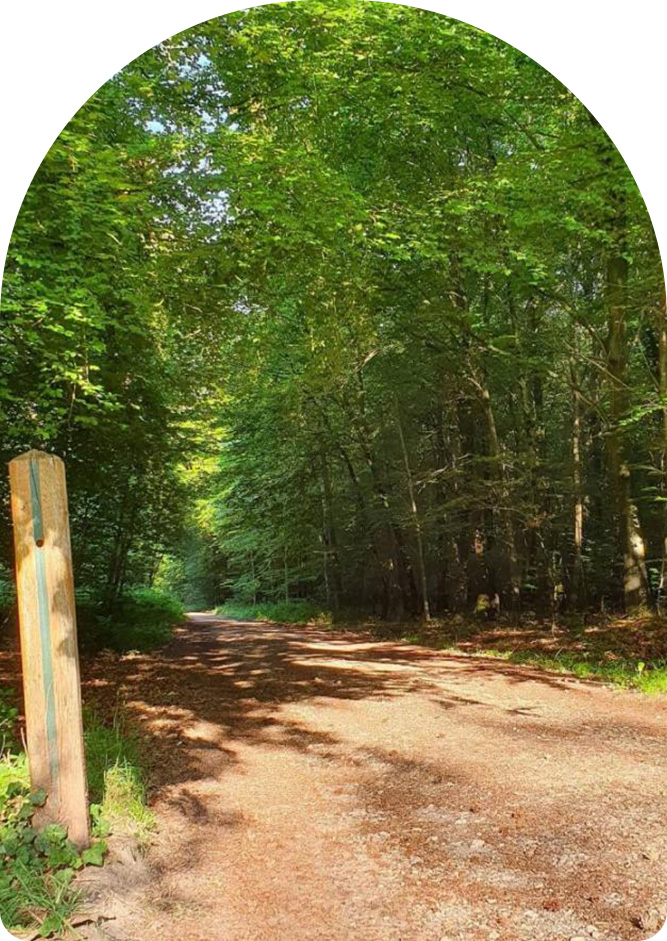 Chemin camping